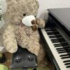 岐阜のシャルテ音楽教室